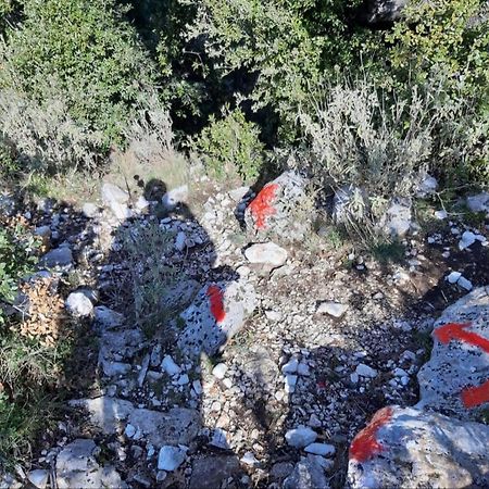 Hamiti Camping Center Dukat المظهر الخارجي الصورة