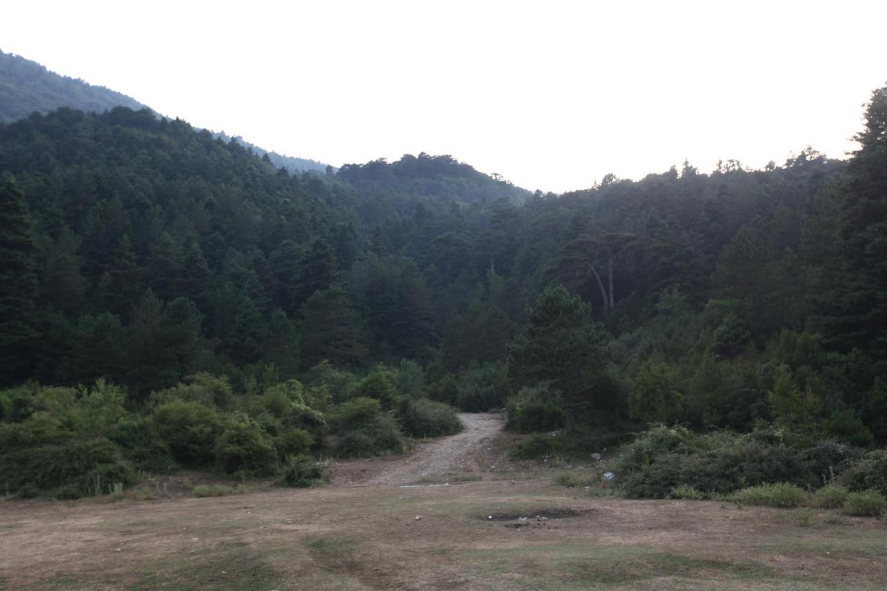 Hamiti Camping Center Dukat المظهر الخارجي الصورة