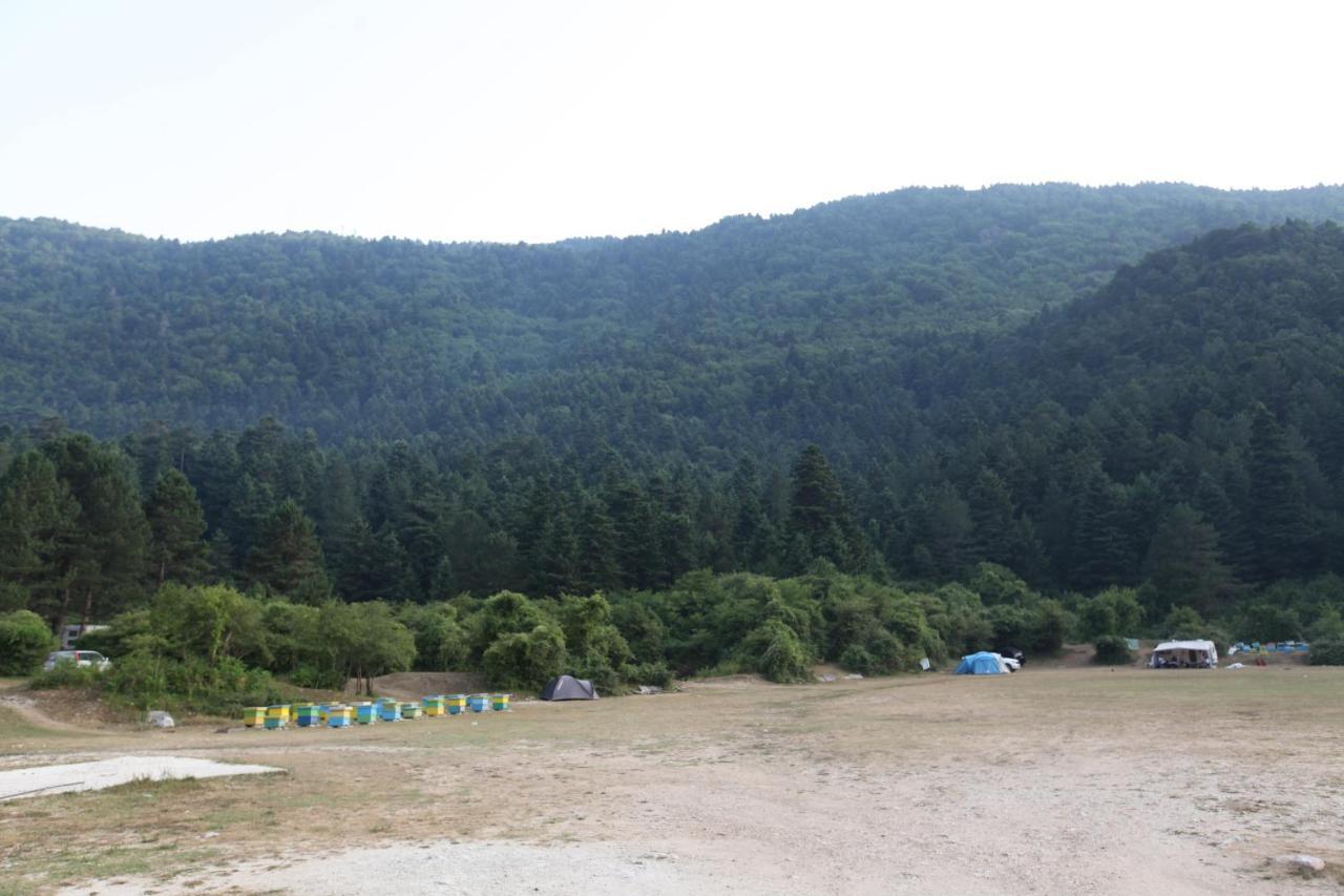 Hamiti Camping Center Dukat المظهر الخارجي الصورة