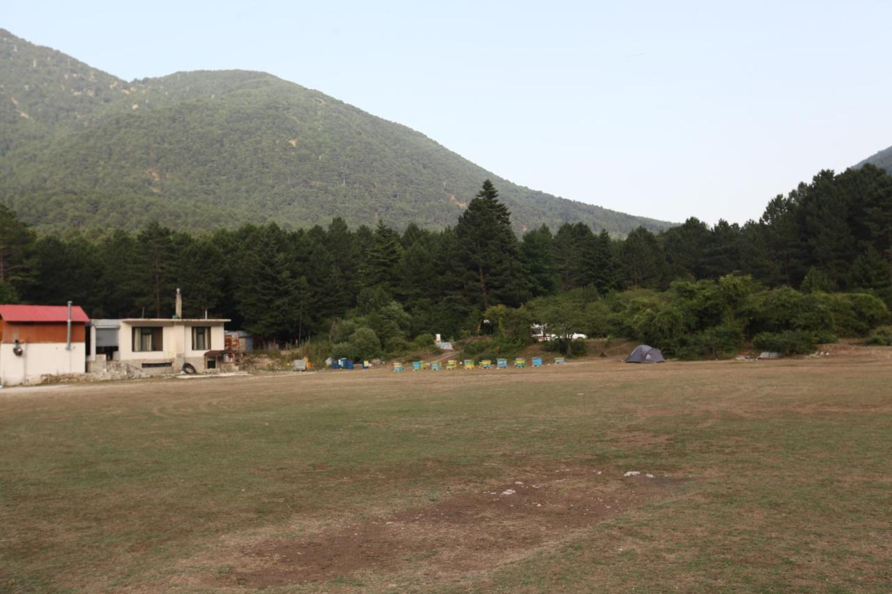 Hamiti Camping Center Dukat المظهر الخارجي الصورة